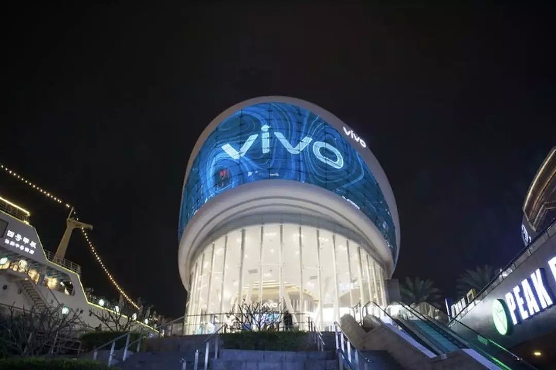 vivo：最后的