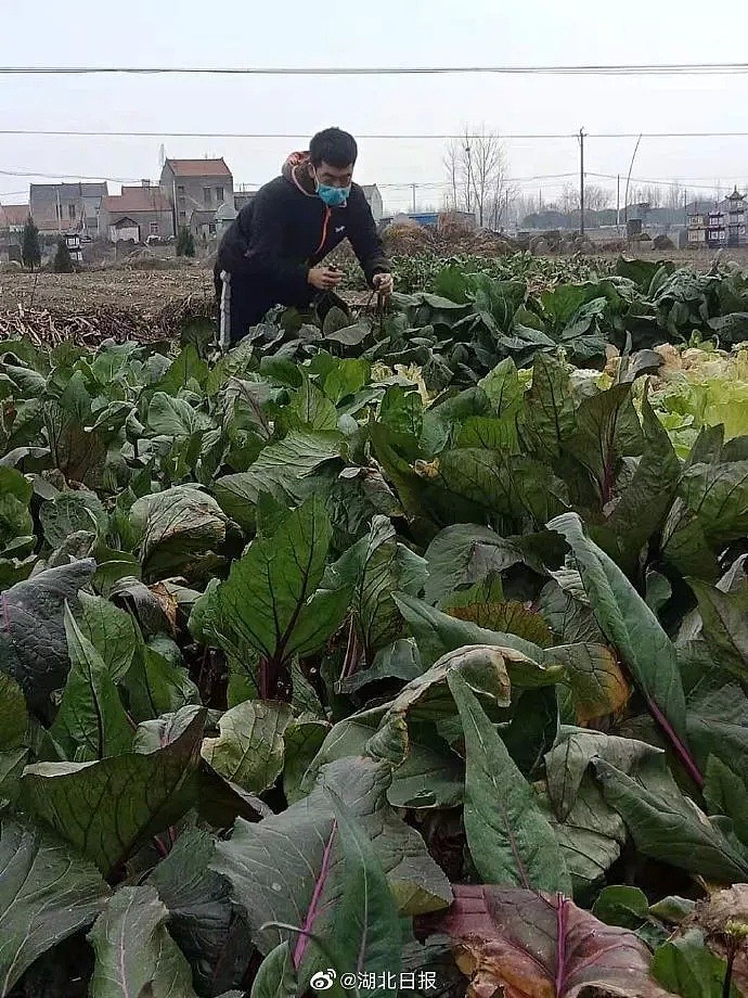 疫情当前，这40张图让我彻底看清了中国人的真实面目！（视频/组图） - 27