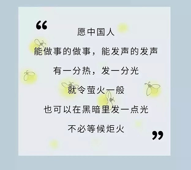 泪目！澳洲华人家门口频繁出现这些东西！隔着纱窗，她看到了真相！ - 50