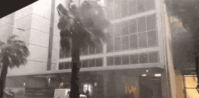30年一遇超强暴雨席卷新州！24处山火被浇灭，悉尼街道被淹，火车站变渡轮码头（视频/组图） - 6