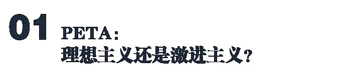 “宁愿裸体也不穿皮草”运动三十年，这个世界变好了吗？（组图） - 8