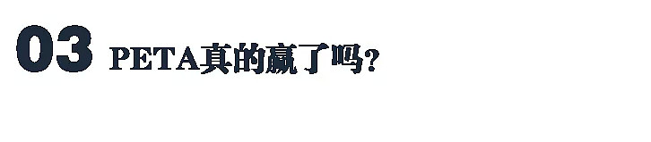 “宁愿裸体也不穿皮草”运动三十年，这个世界变好了吗？（组图） - 22