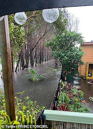 大火过后，暴雨又横扫新州！两次大灾对比照曝光！网友：之前一直求雨，但这也太大了（组图） - 10