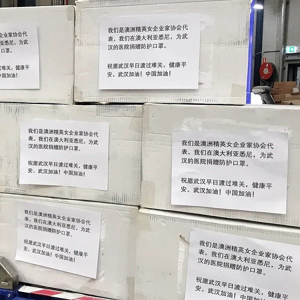 澳洲精英女企业家协会向武汉疫区捐赠防护物资 - 6