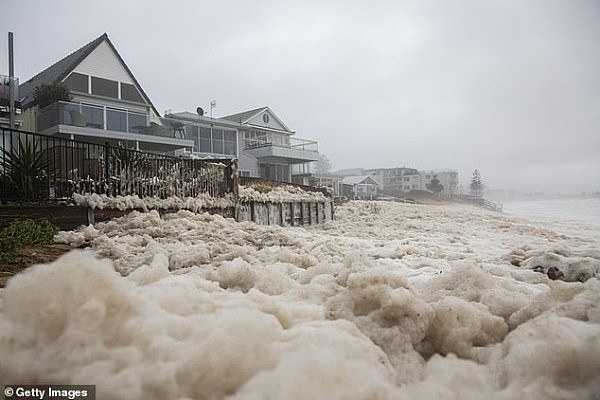 24518358-7985425-Sea_foam_whipped_up_in_front_of_homes_along_Collaroy_on_the_Nort-a-15_1581310767352.jpg,0