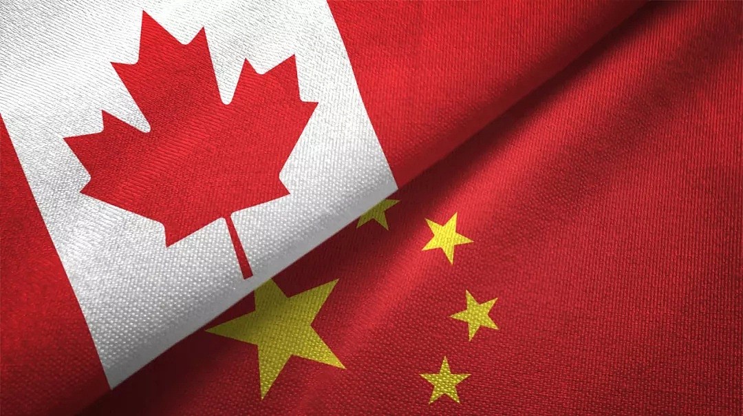 十天！五个举动！加拿大这个国家，令世界华人泪目！（组图） - 9