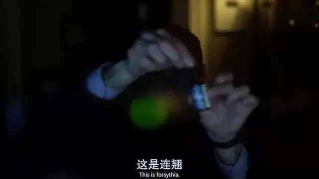 一只蝙蝠致全球2600万死亡：这部9年前的电影，每一帧都像是预言！（组图） - 10