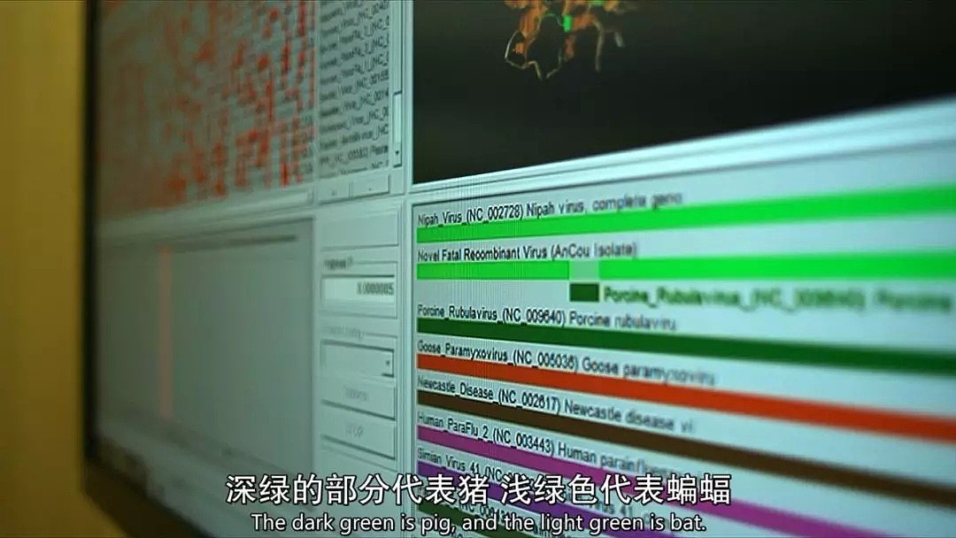 一只蝙蝠致全球2600万死亡：这部9年前的电影，每一帧都像是预言！（组图） - 12