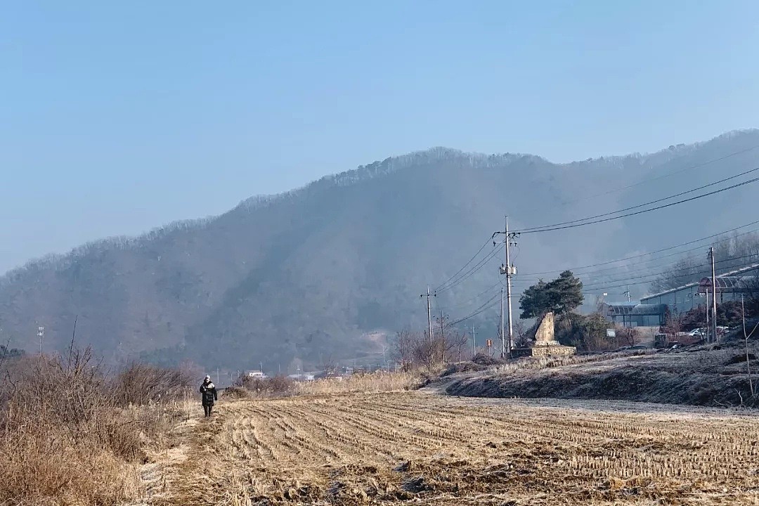 韩国年轻人甘愿花钱被关：坐牢才是最自由的（视频/组图） - 29