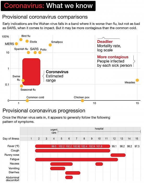 NED-1132-Coronavirus-What-we-know_1rTgajAM.jpg,0