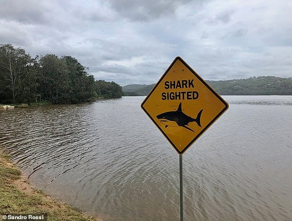 24631338-7993871-Another_sign_warning_swimmers_that_they_may_be_sharing_Narrabeen-a-4_1581478072420.jpg,0
