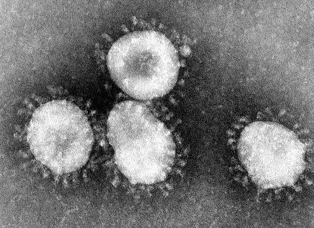 新型冠状病毒的正式名字：COVID-19，是什么意思？新病毒如何命名