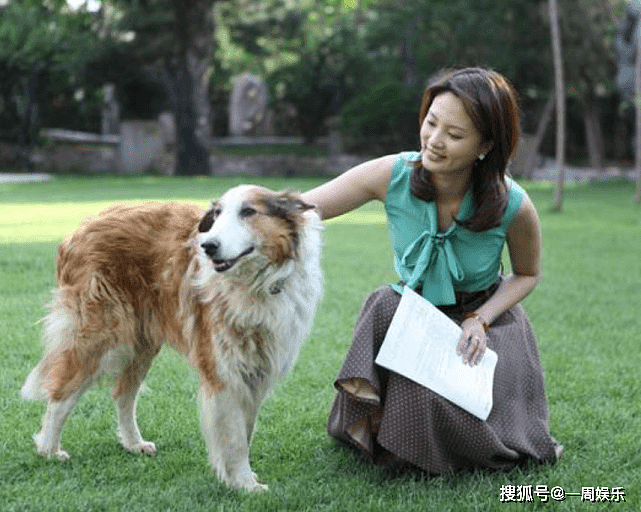 差点被富豪毁掉的央视名嘴 又被潘石屹推上风口（组图） - 2