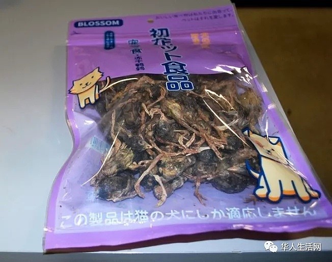 中国旅客入美偷藏“鸟”干尸，上面竟标注是食品...（组图） - 3