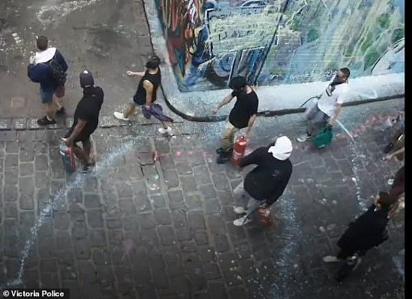 澳华裔艺术家：就是西方小孩在胡闹！著名涂鸦小巷遭破坏，视频曝光！（视频/组图） - 3