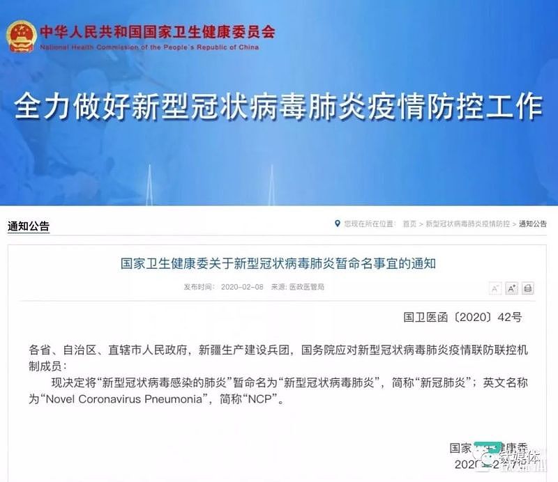 新冠被国际命名为SARS-CoV-2 谁故意隐瞒?（组图） - 4