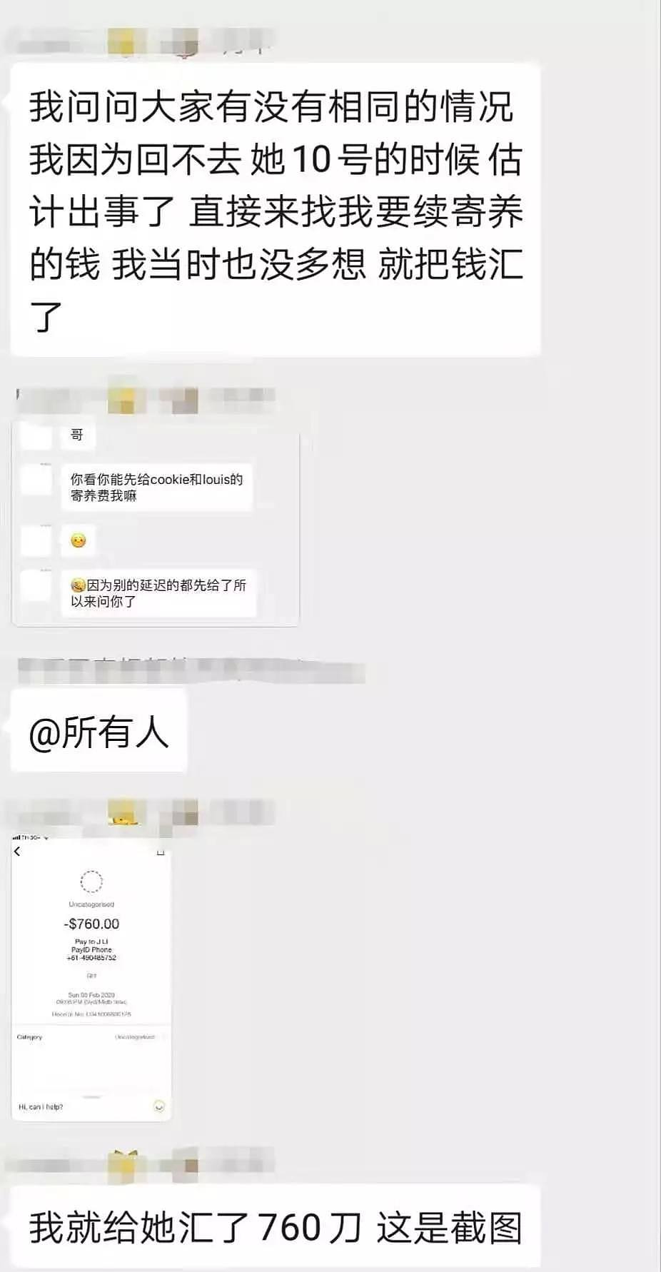 【宠物】武汉疫情后的悉尼：十万留学生回不来，却出现了最痛心的一幕.. - 34