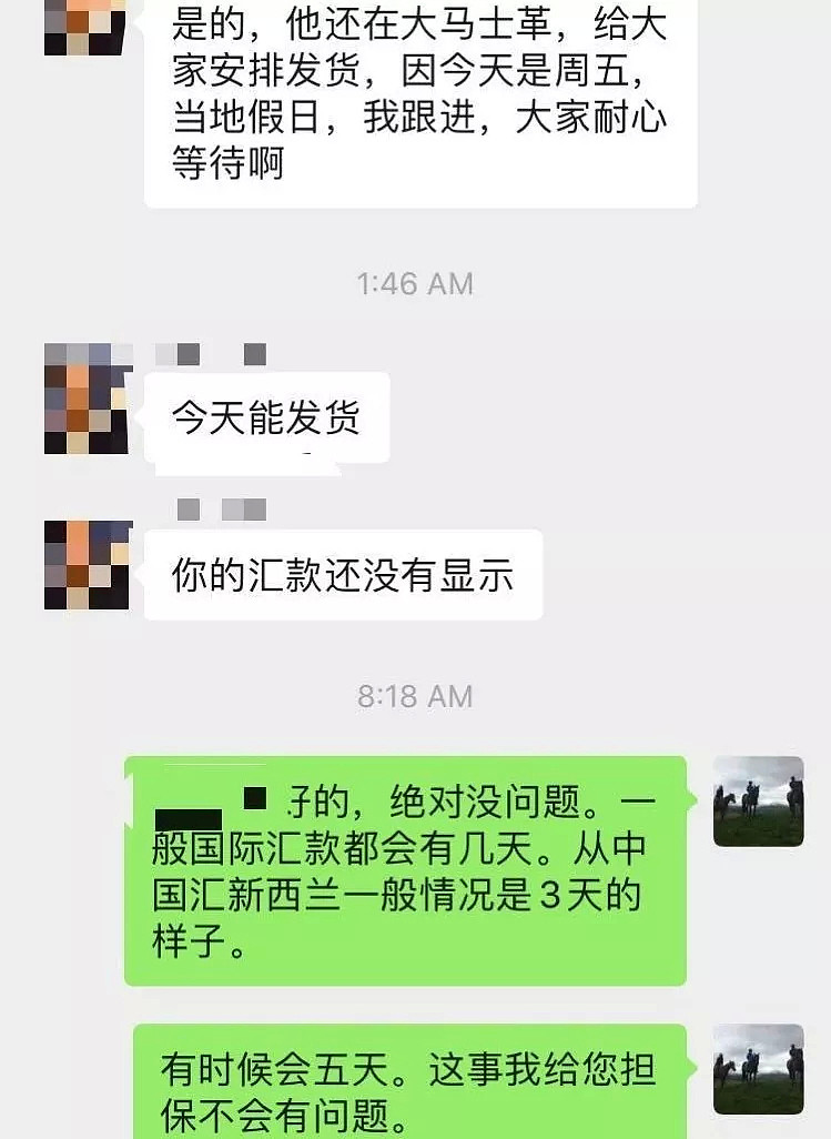 新西兰华人收到“求助”微信，机场求人带物资回中国（组图） - 22