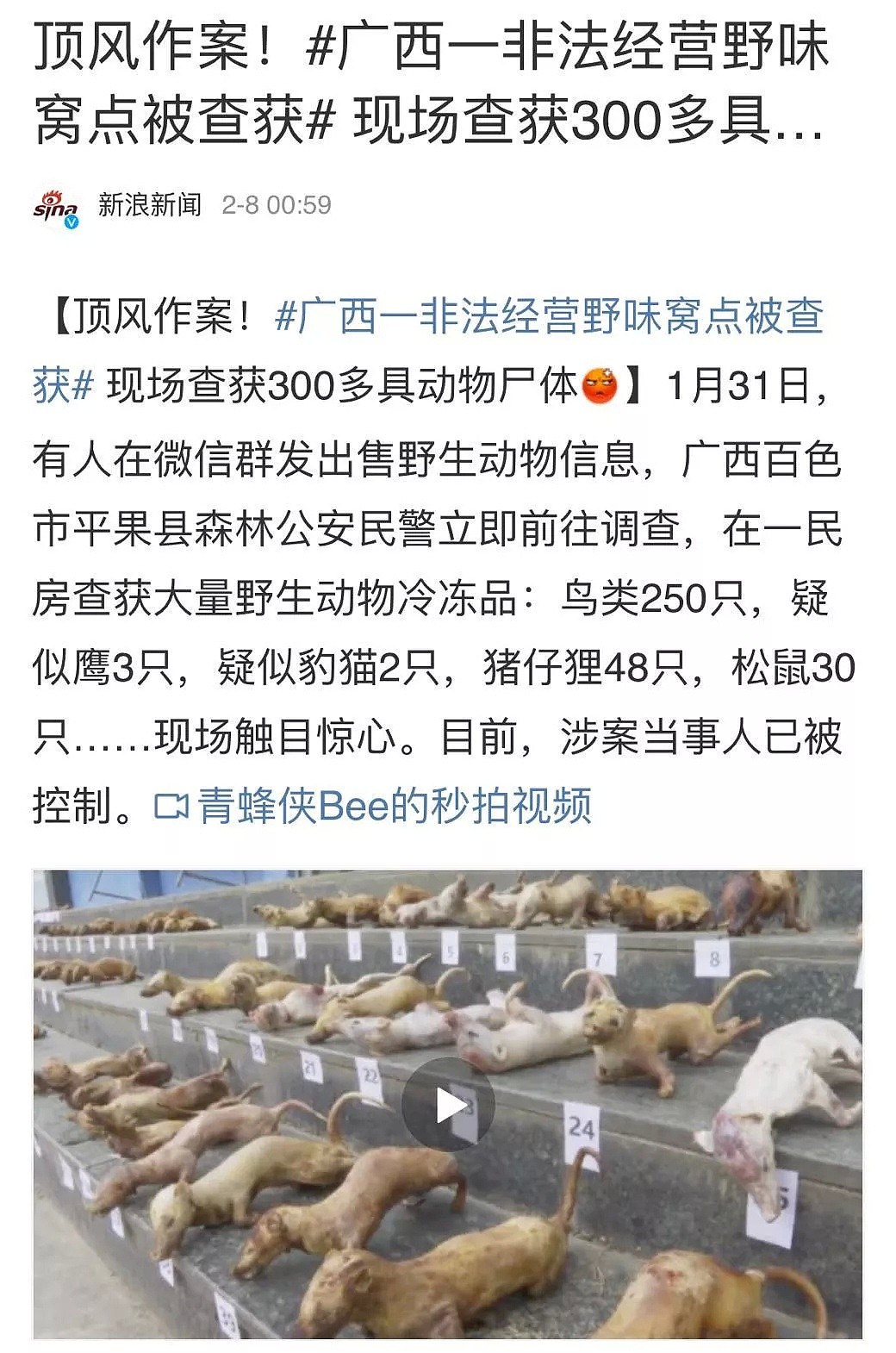 疫情确诊破6万，竟还有人不亦乐乎地吃蝙蝠称我们的烹饪方法很安全（组图） - 14