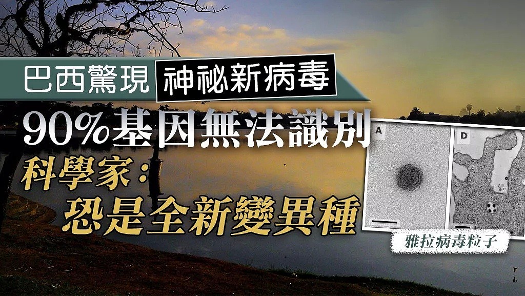 472人感染，70人死亡！一场新疫情正在非洲爆发！警钟已敲响，病毒的神秘，超出人类认知！ - 32