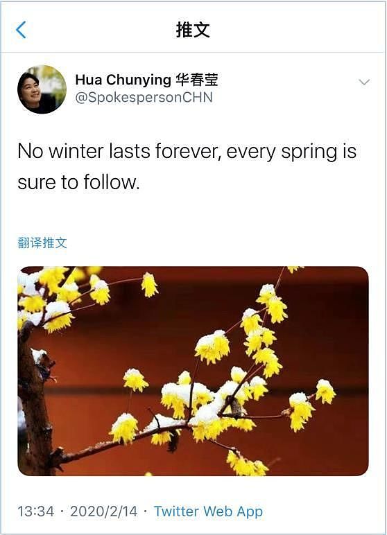 华春莹发布首条推文：没有一个冬天不可逾越（图） - 2