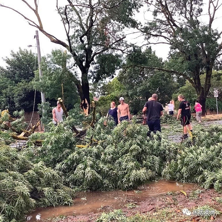 一位澳洲华女的自诉：我住的小镇遭遇狂风暴雨袭击后（组图） - 6