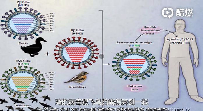 “不能欺负听话的人！”这个黑眼圈医生，凭什么比肩钟南山？（组图） - 5