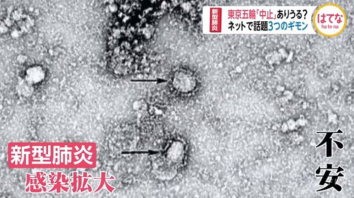 日本疫情疑已经失控！一夜感染者暴增至334人，光东京就涨了8人…（组图） - 11