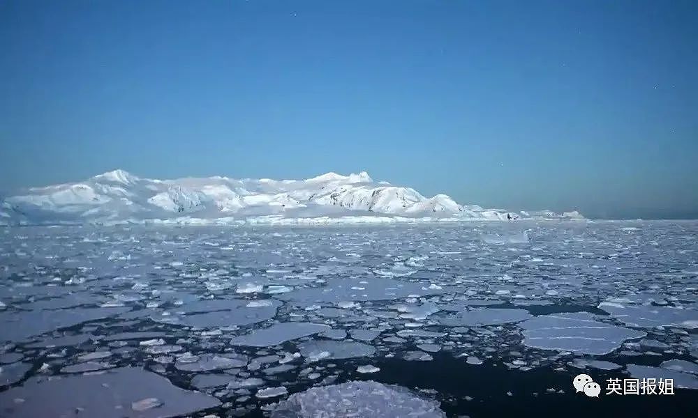 地球迎来史上最热一月！南极都20多度能穿短裤了？！（组图） - 5