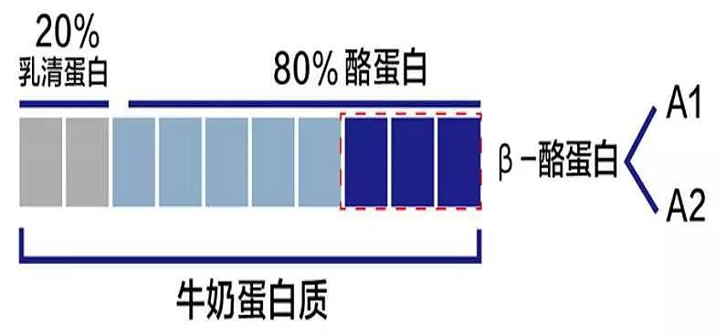 今天，我要扒开了“澳洲奶”的秘密！喝过几十种，只对它们情有独钟~~ - 15