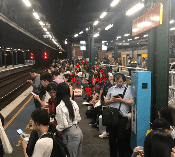 悉尼城铁撞死人！T9线大面积延误，乘客被困站台1小时（视频/组图） - 9