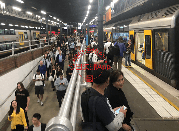 悉尼城铁撞死人！T9线大面积延误，乘客被困站台1小时（视频/组图） - 8