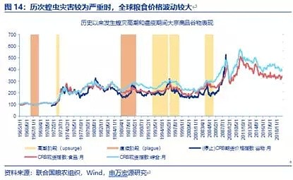 4000亿只，25年来最大蝗灾，市场三大影响！ - 11