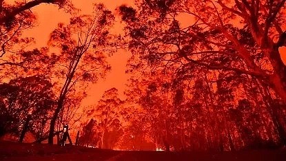 全澳一张图刷屏！澳洲大火210天后，我们看到了奇迹！ - 1