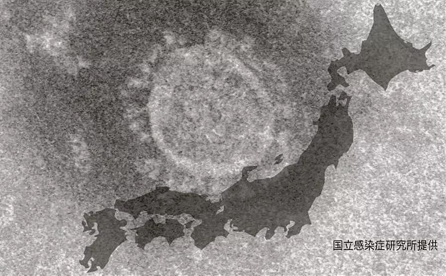 日本新冠肺炎确诊者猛增至414人 但是确实心太大了（组图） - 34