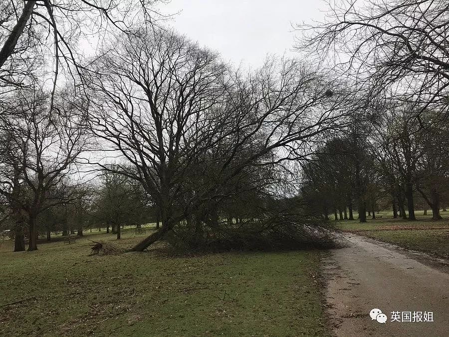 史上最大风暴来袭：千人滞留机场，瀑布倒流，英国人蒙了…（组图） - 3