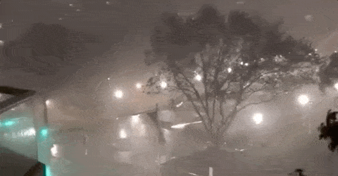 悉尼惨遭“天打雷劈”，Chatswood男子命丧街头！交通延误，树倒屋塌！气象局警告：今晚恐将继续（组图） - 18