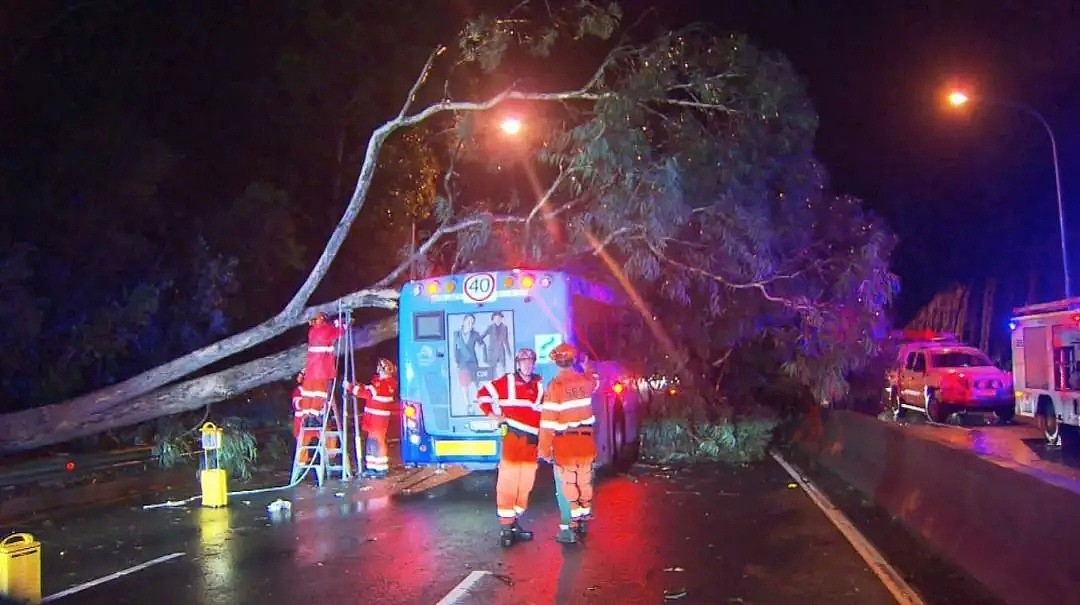 悉尼惨遭“天打雷劈”，Chatswood男子命丧街头！交通延误，树倒屋塌！气象局警告：今晚恐将继续（组图） - 32