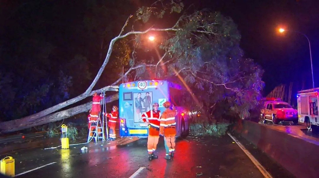 悉尼惨遭“天打雷劈”，Chatswood男子命丧街头！交通延误，树倒屋塌！气象局警告：今晚恐将继续（组图） - 54