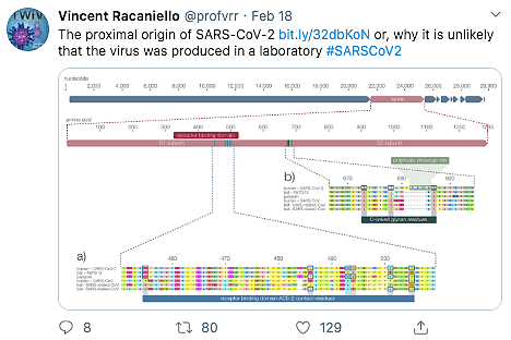 非实验室制造！英美澳科学家最新研究反驳新冠病毒“人工合成”阴谋论！（组图） - 4