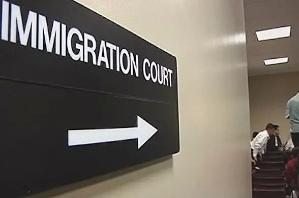 重磅！移民案审理提速，法官偏向华人，庇护案获批最多！难道是因为...（组图） - 6