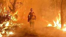 山火过后，澳皇家委员会研究是否禁止建丛林房屋，以预防山火危机（组图）