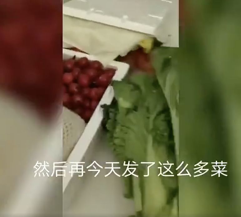 愤怒！贵州捐给湖北的菜烂在仓库，老百姓高价买菜吃，当官家里吃不完！（组图） - 12