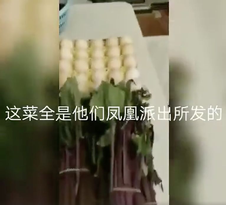 愤怒！贵州捐给湖北的菜烂在仓库，老百姓高价买菜吃，当官家里吃不完！（组图） - 13