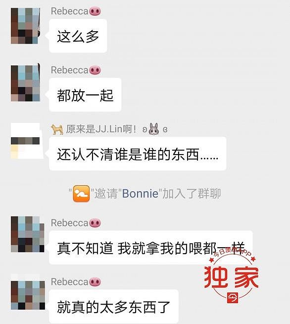 尸体“皮包骨”！澳中国留学生虐狗被判刑！无良华人寄养公寓被查处，猫狗死状凄惨 - 28