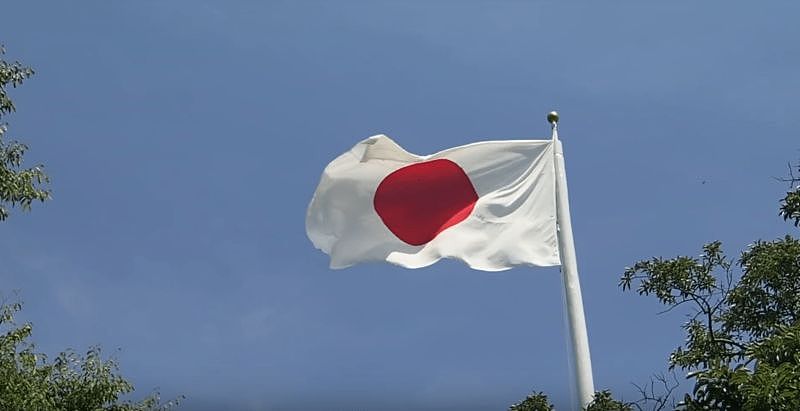 日本重磅官宣 看剧情 轮到我们给日本捐口罩了(组图) - 2