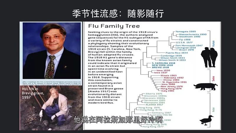 治愈却再度被传染?新冠病毒颠覆所有人的认知（组图） - 25