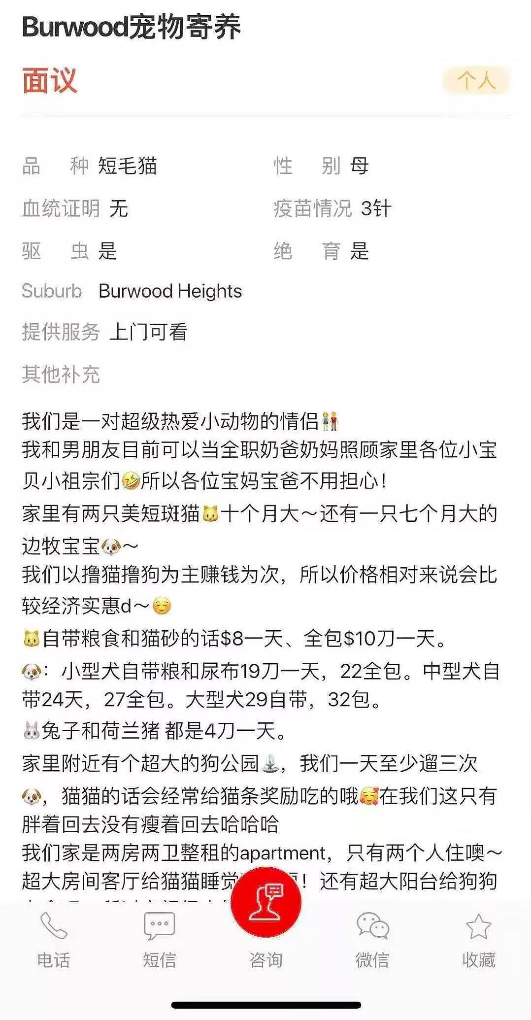 【宠物】独家！Burwood寄养案，张世京律师犀利点评：“这种人不配养宠物！” - 3