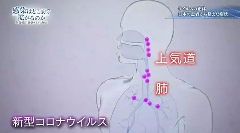 日本电视台模拟家庭传染，做到这个比戴口罩更能阻挡病毒！（组图） - 8