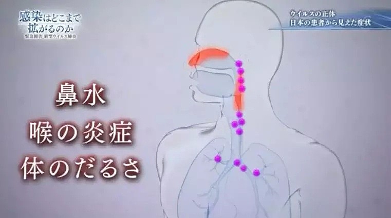 日本电视台模拟家庭传染，做到这个比戴口罩更能阻挡病毒！（组图） - 9